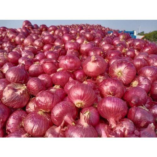 Red Round Shape 100% Pure Healthy Farm Fresh Indian Origin Vitamins Rich Naturally Grown Onion