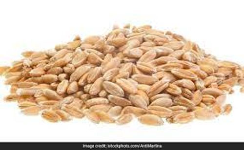 Staple Diet Higher Protein Long Grains Wheat