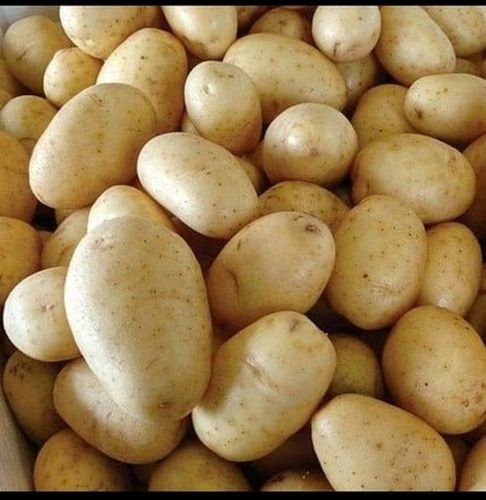 65% Moisture Containing Brown Oval Shaped Raw Fresh Potato