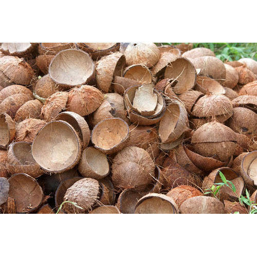 Brown Color Solid Form Medium Size Fresh Dry Raw Coconut Shell Size: Small