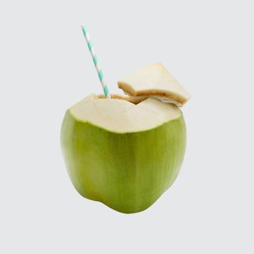 Green Diamond Shape Medium Size Fresh Young Tender Coconut