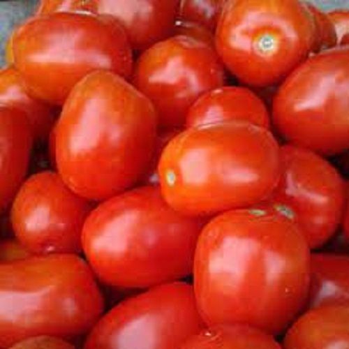 100 % Pure And Natural Fresh Red Tomatoes, For Cooking, Super Rich In Vitamin C Moisture (%): 12%