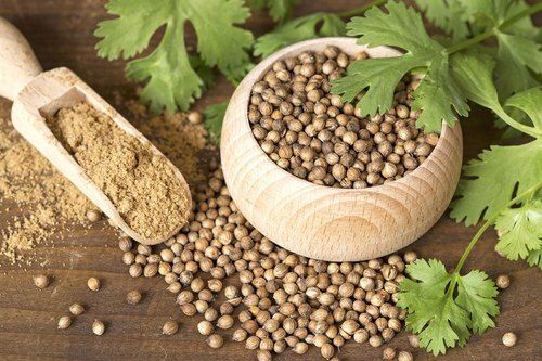 Antioxidants With Naturally Grown Healthy Vitamins Enriched Pure Coriander Seed