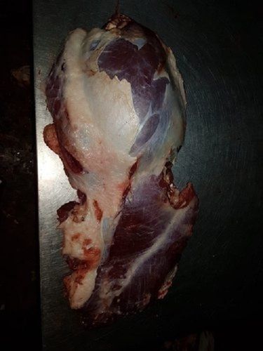 Frozen Shin Shank Buffalo Meat Healthy Flavourful Source Of Protein