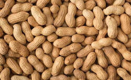 Brown Premium Grade Delicious Taste Healthy Nutrition Rich Peanut