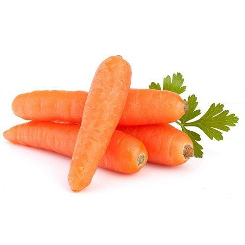 100% Pure And Natural Healthy Fresh Carrot Rich In Vitamin C  Shelf Life: 3 Days