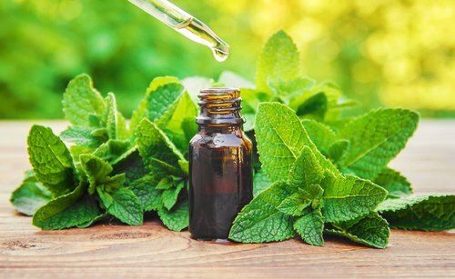 High Level Of Beneficial For Overall Health And Well Being It Is Great For Relieving Headaches Distillation Peppermint Oil