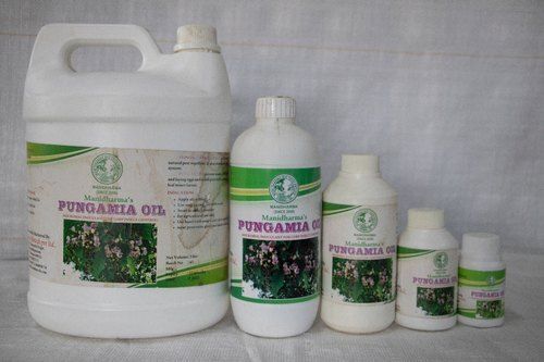 A Grade 100% Purity Common Type Oil Seeds Moisture 20% Green Pungam Oil