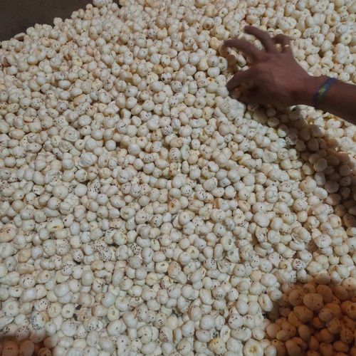 Dried White Highly Nutritional Handpicked Quality 5 Suta Makhana (Fox Nut)