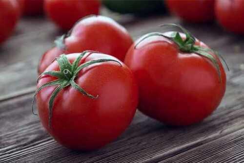 Red Fresh Tomato For Cooking, Skin Products And Tomato Catchup