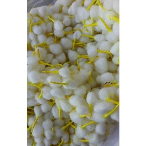 Eco-Friendly 100% Pure Cotton Round Shape Yellow Round Cotton Pooja Batti - Wicks