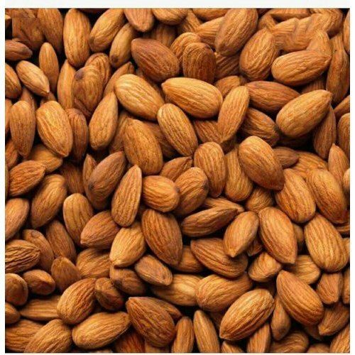 Brown Medium Size Raw Commonly Cultivated 5% Broken 12% Moisture Dried Almond Nut 