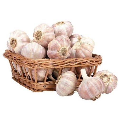 Round Shape White Color 100 %Natural Fresh And Dried Garlic 
