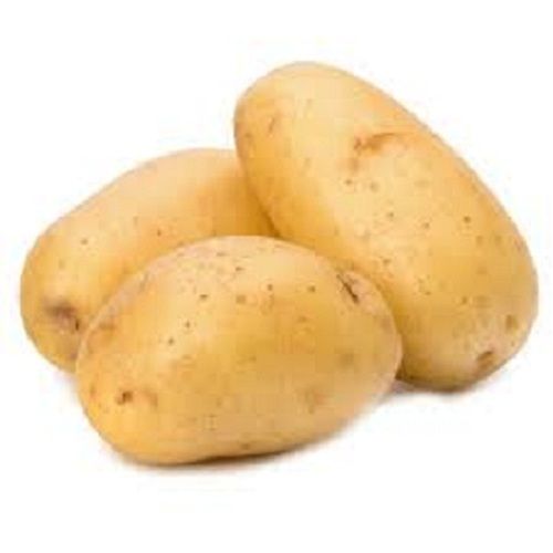 Round Naturally Grown Indian Origin Healthy Unadultered And Fresh Taste Rich Potato