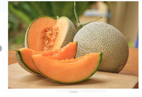 Organic And Healthy Farm Fresh Musk Melon Fruit