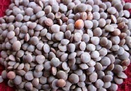 100% Pure And Organic Unpolished Whole Masoor Dal For Cooking Purpose