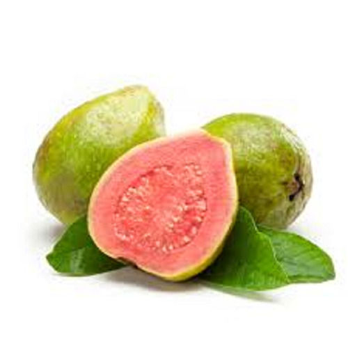 Good Source Delicious Antioxidants Vitamins Healthy Pink Guava 