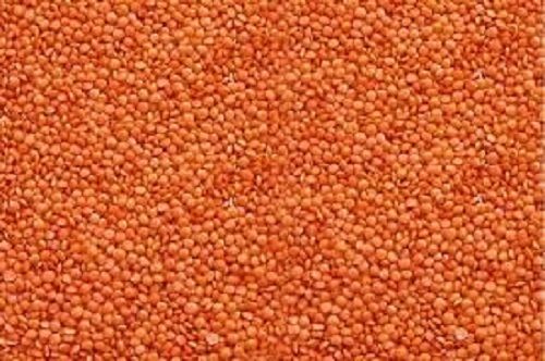 100% Pure And Natural Organic Indian Cuisine Orange-Pink Masoor Dal Usda Certified 