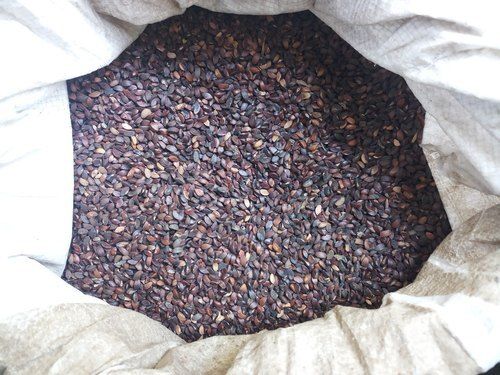 Dried And Cleaned Amla Seeds For Ayurvedic Medicinal Use 