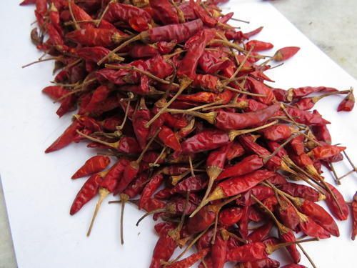 Raw A Grade Aromatic And Flavorful Spicy Dry Red Chilli