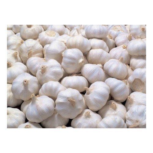 Round Indian Origin Naturally Grown Antioxidants And Vitamins Enriched Healthy White Fresh Garlic