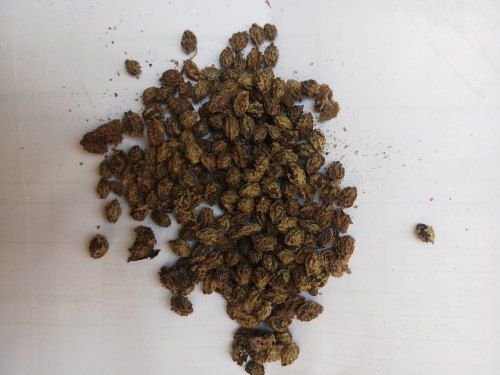 Dried And Cleaned Papaya Seeds For Medicinal Use  Admixture (%): 5%