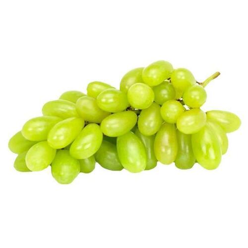 Common Juicy And Snappy Fresh Sweet Green Grapes 