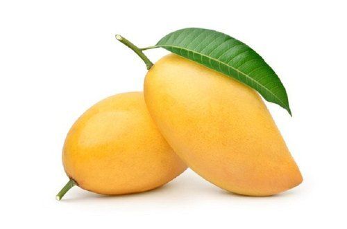 Yellow Rich And Premium Quality Healthy Sweet Fresh Badami Mango 