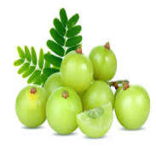 Round 100% Original And Pure Farm Fresh Amla With Light Green Skin