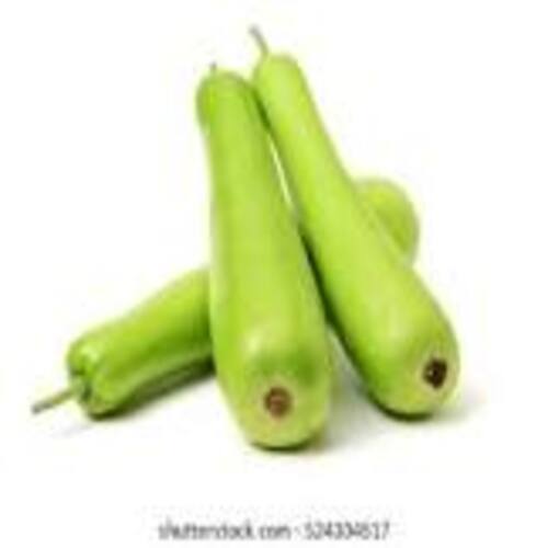 100% असली और शुद्ध फार्म फ्रेश ग्रीन बॉटल गार्ड लौकी जीरो रसायनिक पदार्थ के साथ