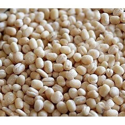 White 100% Pure Indian Origin Oval Shape Dried Urad Dal