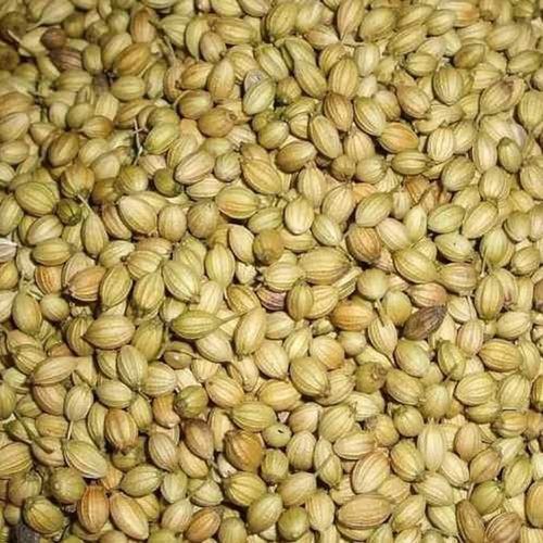 Psyllium Sack Whole Coriander Seeds Packaging Size 50 Kg