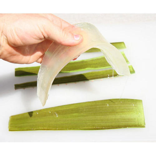 Rich In Vitamin To Help Strengthen Your Hair Hygenically Packed Fresh Green Aloe Vera Pulp Grade: A