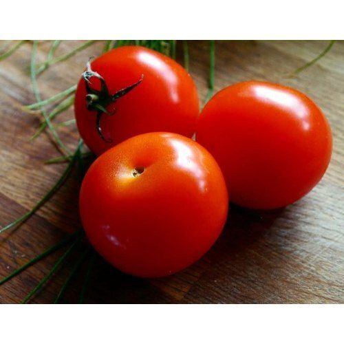Round Shape Farm Fresh Naturally Grown Red Tomato