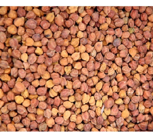 Brown Highly Nutritious Chemical And Preservatives Free Dried Whole Black Chana 