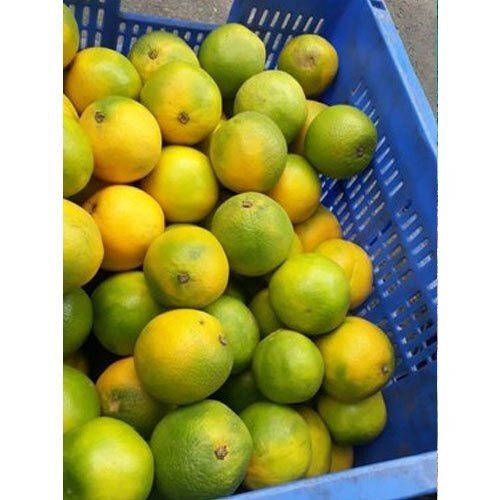 Round 100% Pure, Natural Healthy And Nutritious Indian A Grade Fresh Orange