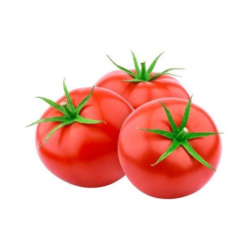 Naturally Grown Indian Origin Raw Round Shape Farm Fresh Tomato