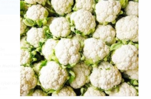 1 Kg Common Cultivated Fresh White Cauliflower