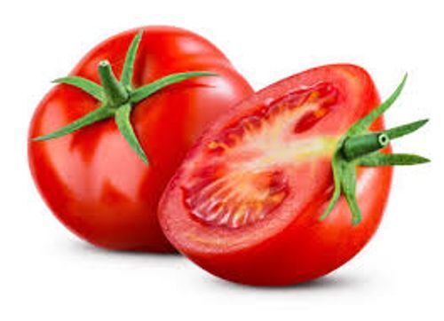 100% Natural ,Chemical Free Fresh And Organic Tomato Moisture (%): 1479.5% (Db)