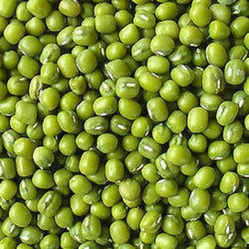 Common 100% Pure Indian Green Gram Contains High In Protein