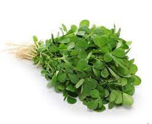 Premium Qualities Totally Organic Healthy Fresh Methi Leaves