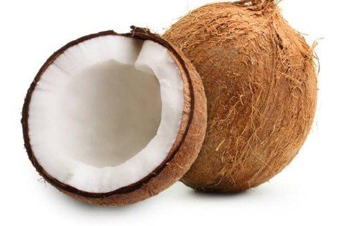 Semi Husked Dried Round Shape Medium Size Brown Matured Coconut