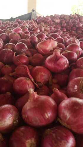 100% Farm Fresh Whole Organic Red Onion For Cooking, Salad And Flavoring