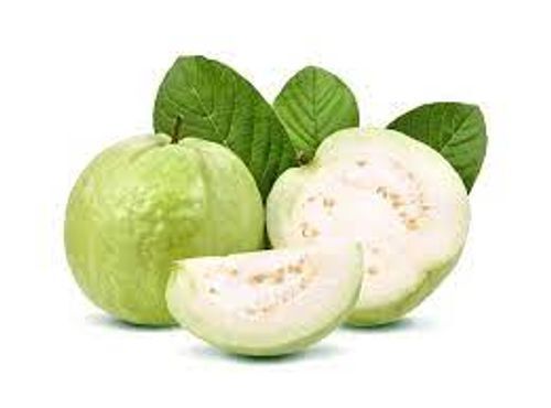 High Vitamin C Fibre Antioxidant Nutrient Fresh Guava Poojab