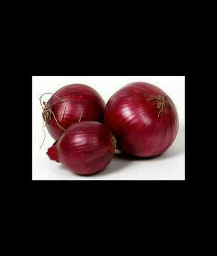 Natural Taste Pesticide-Free Farm Fresh 100% Organic Whole Red Fresh Onion Shelf Life: 2-4 (In Room Temperature) Week