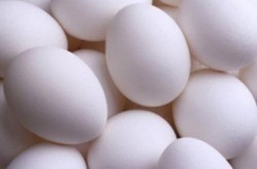 Nutrients Rich Oval Shape White Poultry Egg