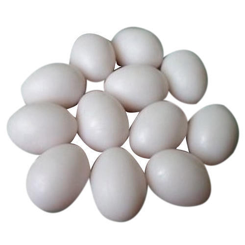 Oval Shape Nutrients Rich Fresh Poultry White Egg