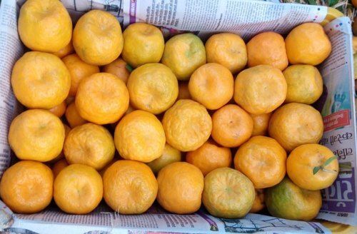 Common Rich Taste Good For Health Pesticide Free Rich In Vitamin C Fresh Orange Fruits