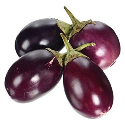  Vibrant Smooth Purple-Skinned Organically Grown Brinjals