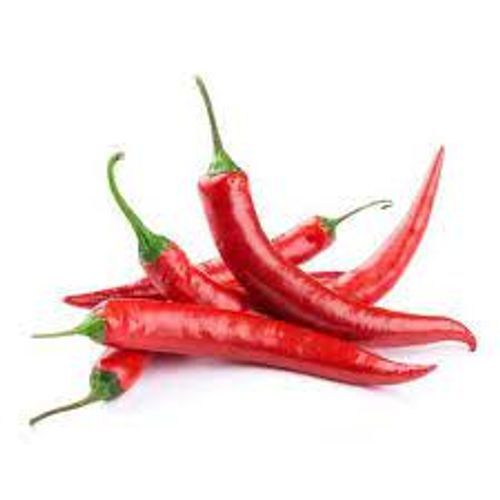 Fresh Healthy Nutrients Spicy Flavor Red Chili